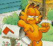 Garfield pic here...