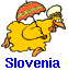 Slovenia Chicken